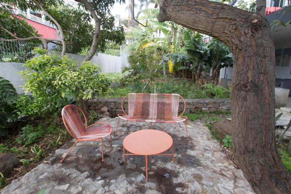 Rochinha Cozy Home Funchal  Bagian luar foto